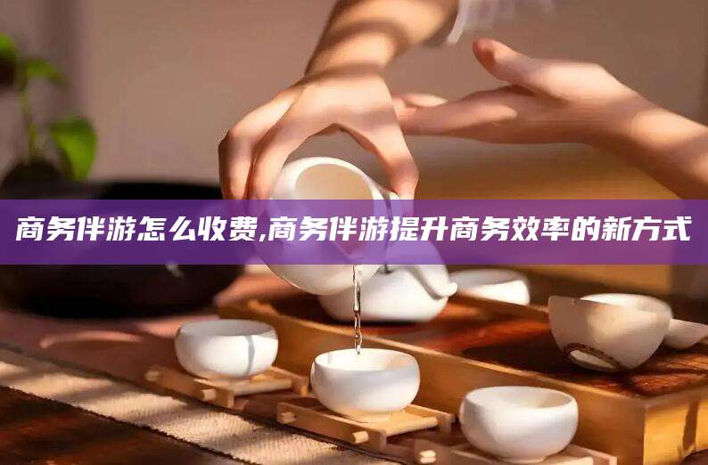 固始商务伴游怎么收费,商务伴游提升商务效率的新方式